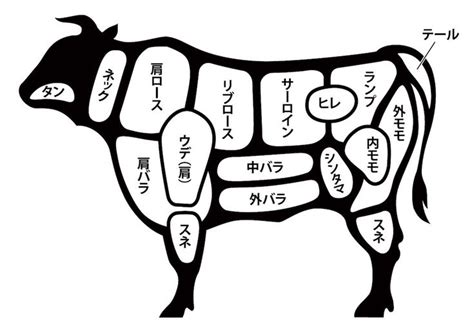 ステーキをおいしく焼く理論。料理家・樋口直哉が教える、肉の焼き方「新常識」【保存版】 ソレドコ 牛 仙台牛 牛肉