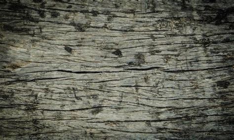 Rustic Wood Texture Stock Photos, Images and Backgrounds for Free Download