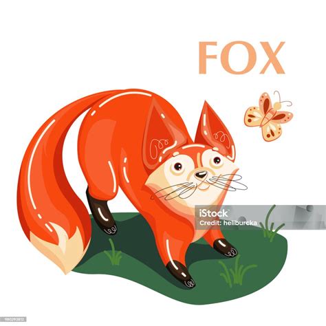 Ilustración De Tarjetas Educativas Fox Y Mariposa Volando Y Más