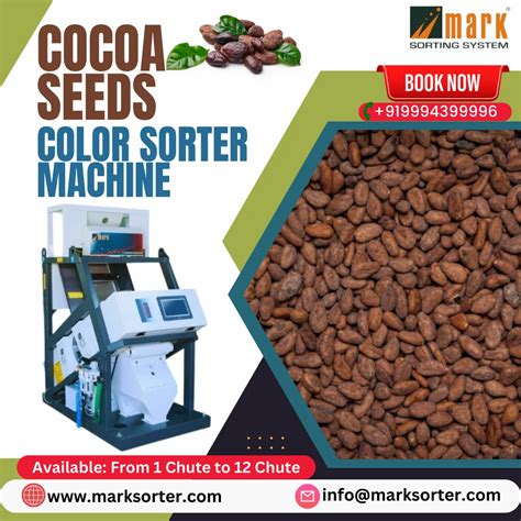 Cocoa Seeds Color Sorter Machine Seeds Color Sorting Machine Pulses