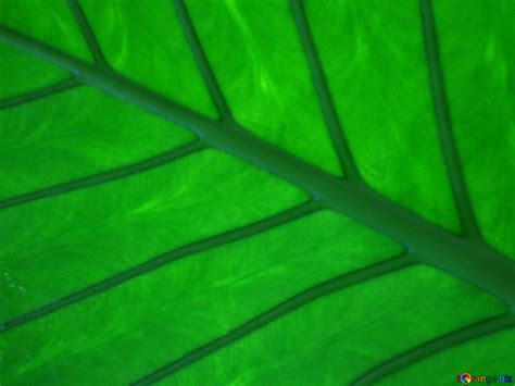 texture sheet  image