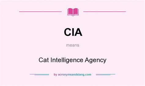 Cia Cat Intelligence Agency In Undefined By