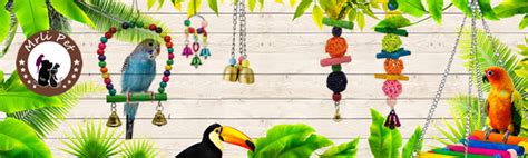 Amazon Mrli Pet 6 Pack Bird Swing Toys Parrot Bell Toys For