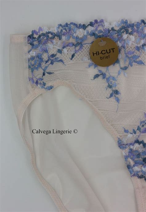 Nwt Wacoal 841191 Embrace Lace Embroidered Mesh Hi Cut Brief Peach