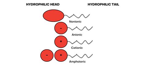 Surfactants What They Are Uses Exmaples Surface Tension