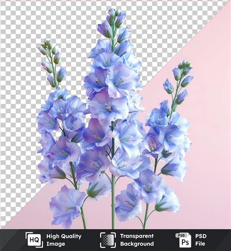 Im Genes De Flores De Alta Calidad De Psd Larkspur Con Una Variedad De