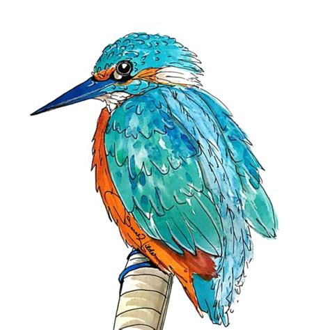 Download Free Kingfisher Picture Hq Image Free Png Icon Favicon