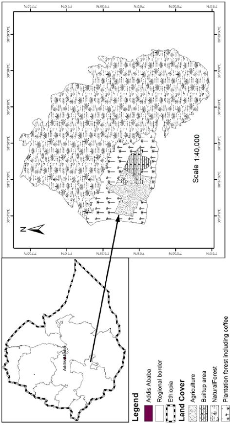 Figure From Communal Roosts Of African White Backed Gyps Africanus