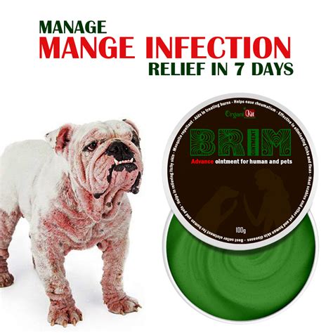 Miracle Effect Of Empirebeauty Brim Advance Ointment For Mange