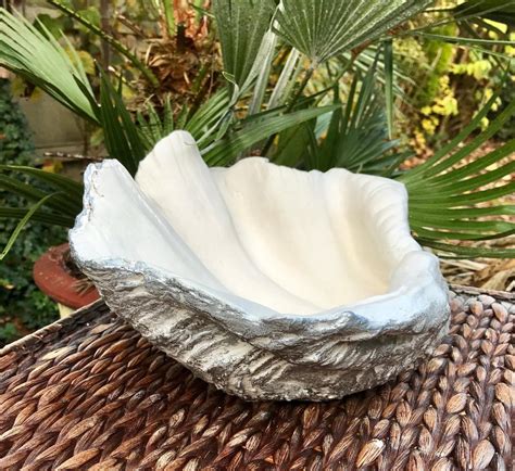 Small Grey Fleck Giant Clam Shell Sculpture Art Ornament Bowl Etsy