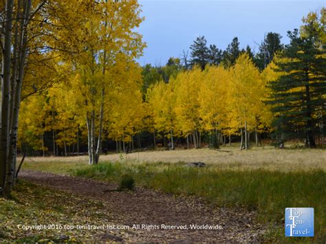 Northern Arizona Fall Foliage Gallery 2016 - Top Ten Travel Blog