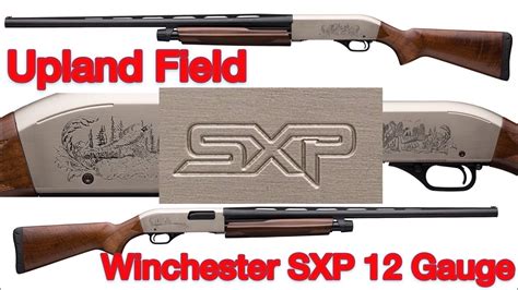 Winchester Sxp 12 Gauge Upland Field Unboxing Field Strip