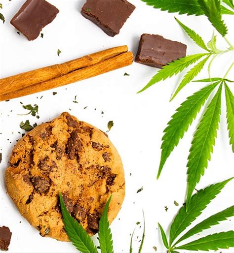 Top 5 Cannabis Dessert Recipes - Dagga Seeds