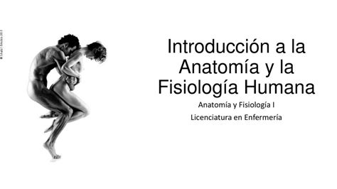 Introducción a la Anatomía y la Fisiología Humana Anatomía