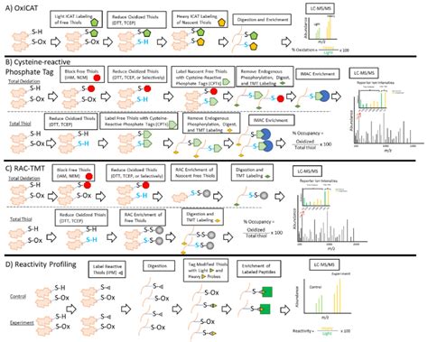 Simplified Schematics Of Different Quantitative Redox Proteomics