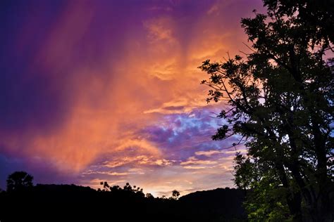 Free Images Tree Nature Forest Cloud Sun Sunrise Sunset Night