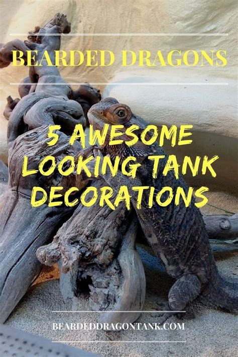 Bearded Dragon Tank Décor | Bearded Dragon Tank