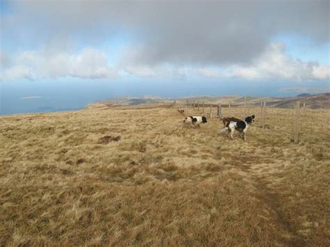 Bleached Moorland Jonathan Wilkins Geograph Britain And Ireland