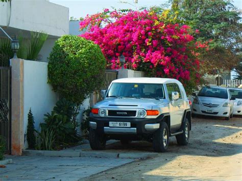 Cu L Es La Multa Por Estacionarse Frente A Una Casa