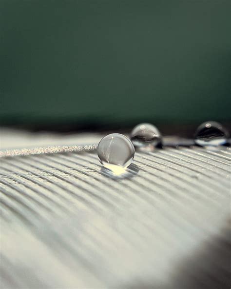 Water Droplet On Focus PixaHive