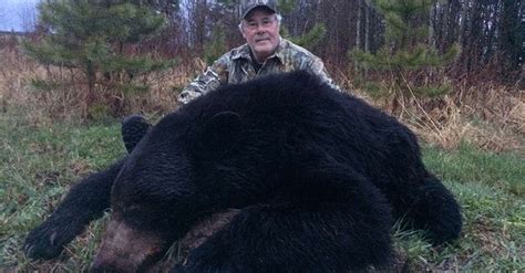 Black Bear hunting trips - BookYourHunt.com