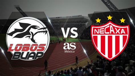 Lobos Buap Vs Club Necaxa Liga Mx Clausura En Vivo Cwamikstrembaded