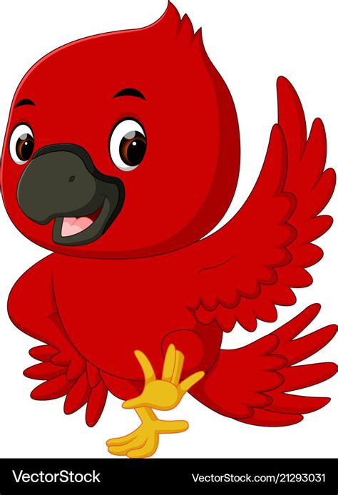 Cardinal Bird Cartoon Royalty Free Vector Image