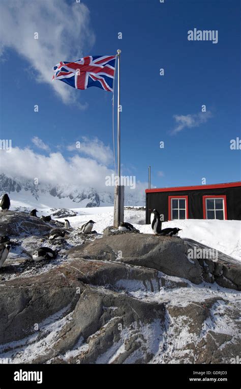 Geography Travel Antarctica Port Lockroy British Antarctic