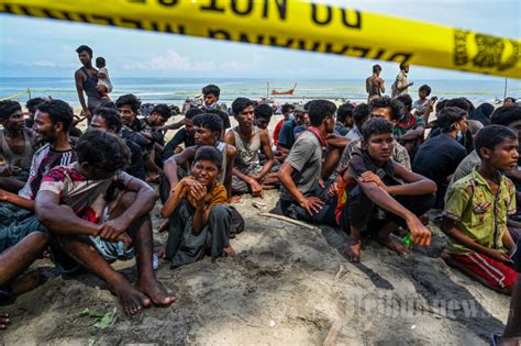 Ribuan Pengungsi Rohingya Tiba Di Aceh Foto Tribunnews