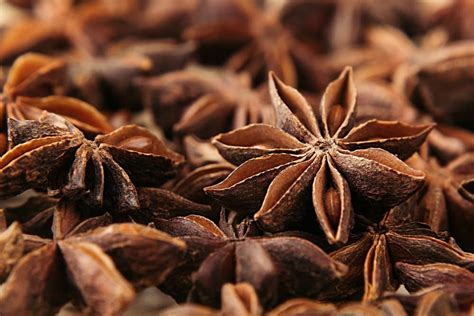 Star Anise Nutritional Benefits Besto Blog