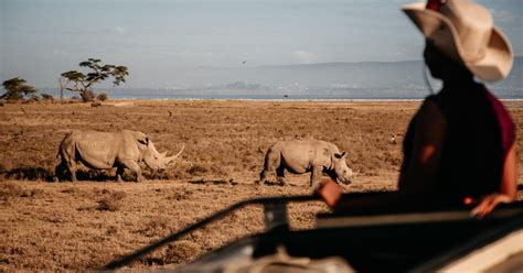 6 Tage Aberdare Solio Lake Nakuru Und Masai Mara Im 4x4 Jeep