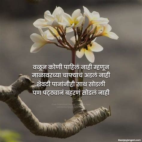 Motivational Quotes In Marathi । 1000 प्रेरणादायी सुविचार मराठी मध्ये