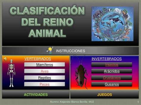 La Clasificacion Del Reino Animal