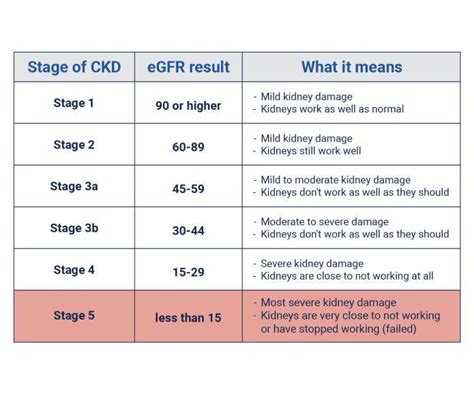 Stages Of Kidney Disease