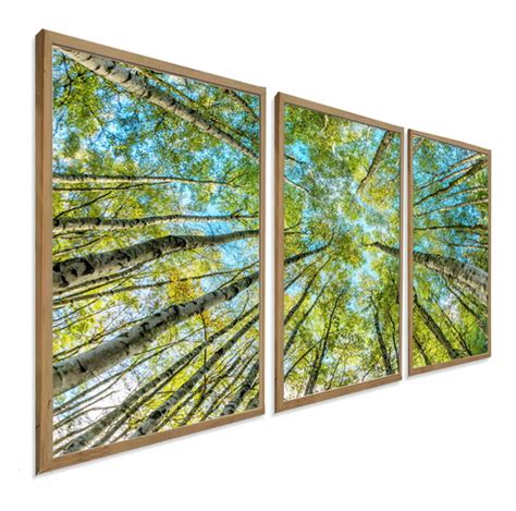 Quadros Decorativos Arvores Natureza Céu Moderno Premium Elo7