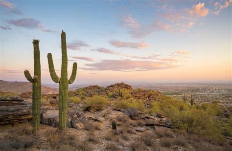 Ahwatukee Foothills Chamber Of Commerce Phoenix Az 85048