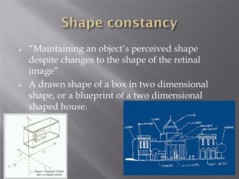 perceptual constancy powerpoint    id