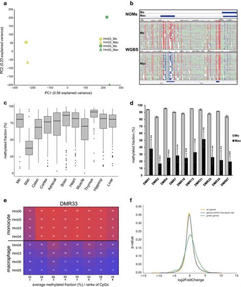 Dna Methylation Analysis A Pca On Whole Genome Bisulfite Data A Clear