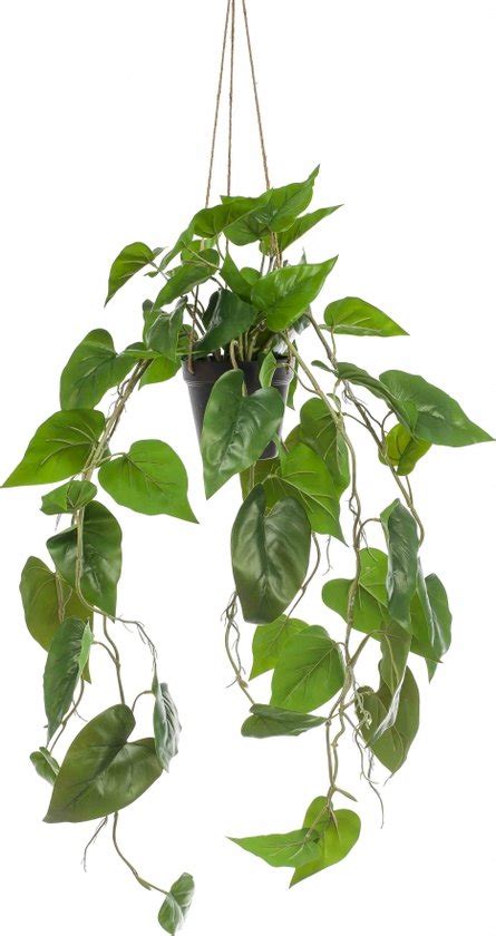 Hangplant Philodendron Polyester Groen 80 Cm Hoog Bol