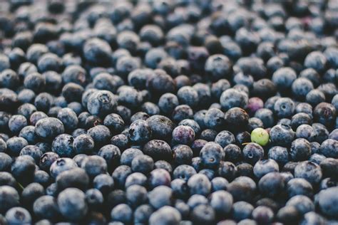 Wallpaper ID: 259853 / berry blueberry fruit and blue hd 4k wallpaper free download