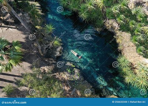 Aerial View Bitter Springs Natural Thermal Hot Pools Northern Territory