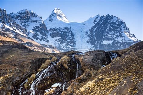 Andean Mountains: Scientists Find New, Rare and Rediscovered Species