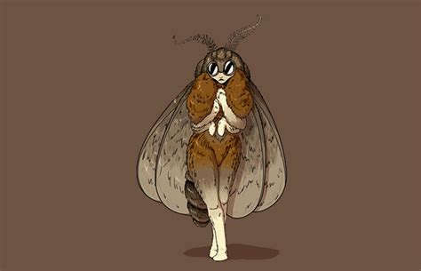 2024s 10 Moth Symbolism Myths And Meaning A Totem Spirit And Power Animal