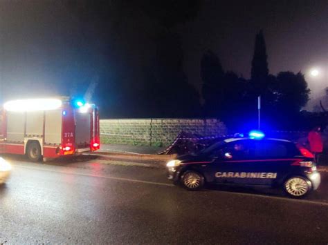 Tragedia Sfiorata A Genzano Video Cade Pino In Via Emilia Romagna L