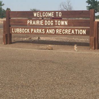 Prairie Dog Town - 19 Photos & 19 Reviews - Landmarks & Historical Buildings - 4th St, Lubbock ...