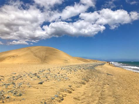 How to spend the perfect day at Maspalomas Beach, Gran Canaria - London ...