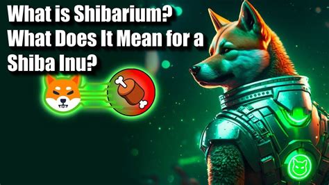 What Is Shibarium What Does It Mean For A Shiba Inu Youtube