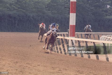 The Belmont Stakes Ron Turcotte In Action Aboard Secretariat At