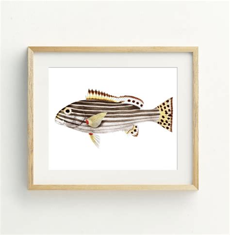 Fish Print, Fish Wall Art, Fish Printable, Beach Decor, Coastal Wall ...