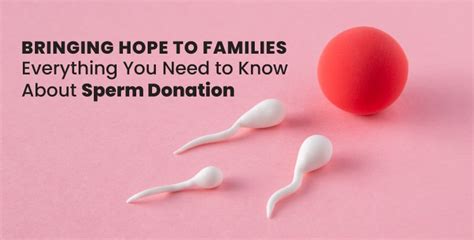 Bringing Hope To Families Everything You Need To Know About Sperm